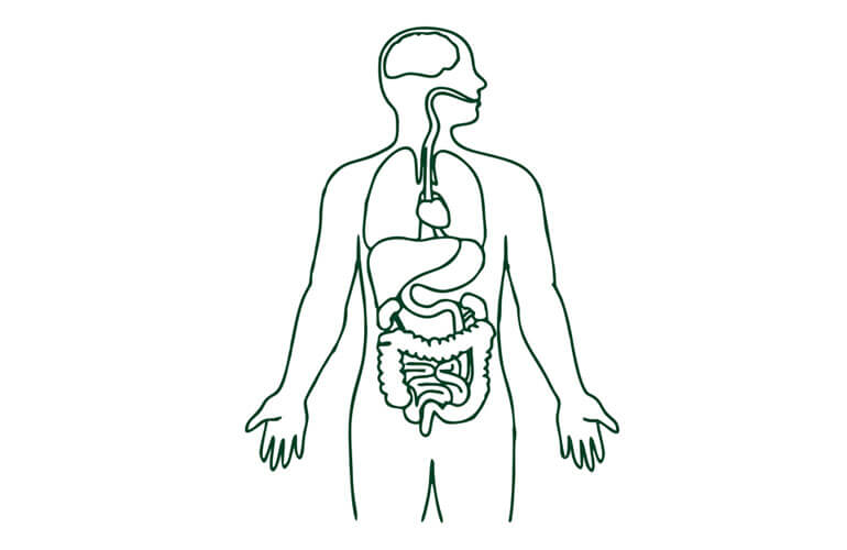 Other Medical Illnesses